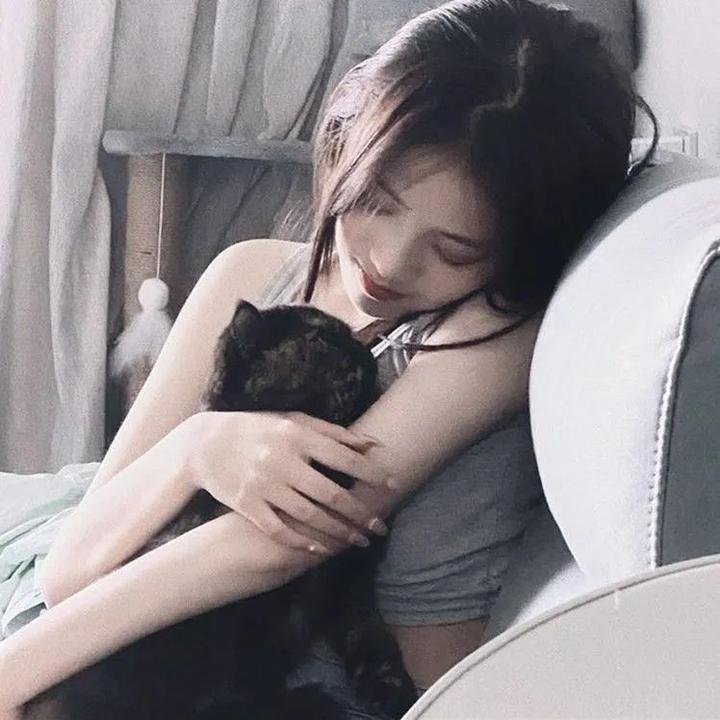 红纸鹤
