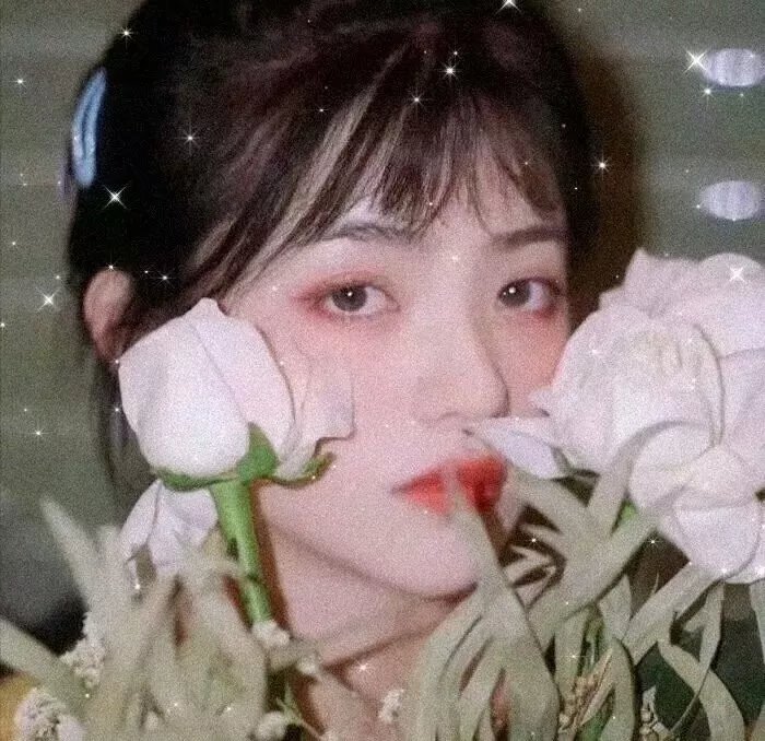 从未在此